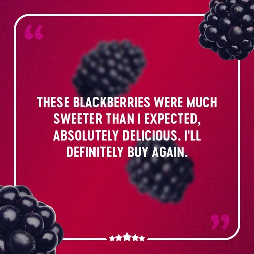 BerryWorld Blackberries thumbnail 6