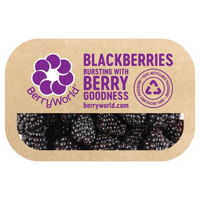 BerryWorld Blackberries