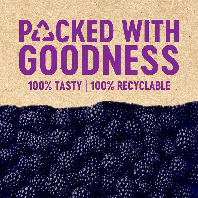 BerryWorld Blackberries thumbnail 2