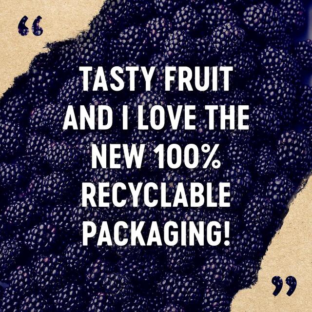 BerryWorld Blackberries thumbnail 3