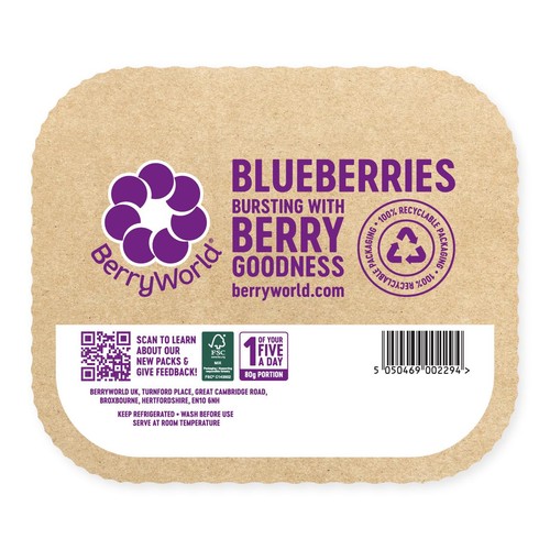 BerryWorld Blueberries thumbnail 2