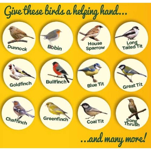 Peckish Complete Suet Cake Block For Wild Birds thumbnail 6