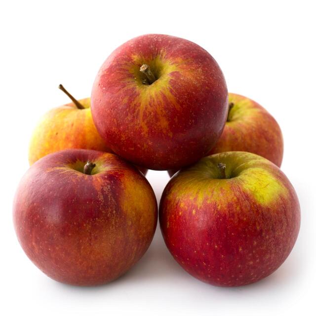 Natoora Seasonally Selected British Apples