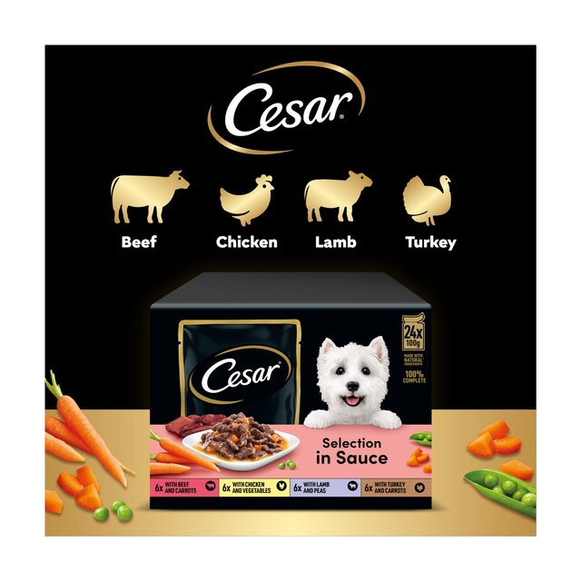 Cesar Deliciously Fresh Dog Food Pouches Favourites in Sauce thumbnail 4