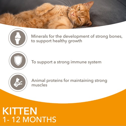 Iams Delights Kitten Chicken in Gravy Multipack thumbnail 3