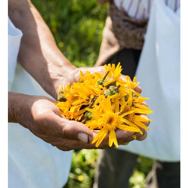 Weleda Arnica Sport Energising Vegan Shower Gel thumbnail 4
