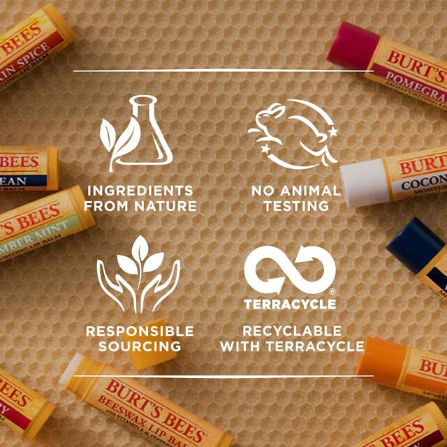 Burt's Bees Moisturising Vanilla Bean Lip Balm thumbnail 4