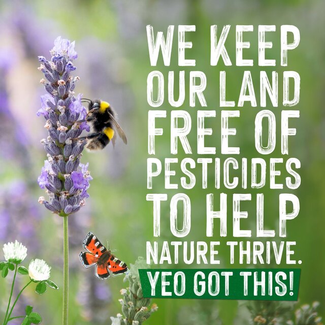 Yeo Valley Organic Fresh Semi Skimmed Milk thumbnail 4