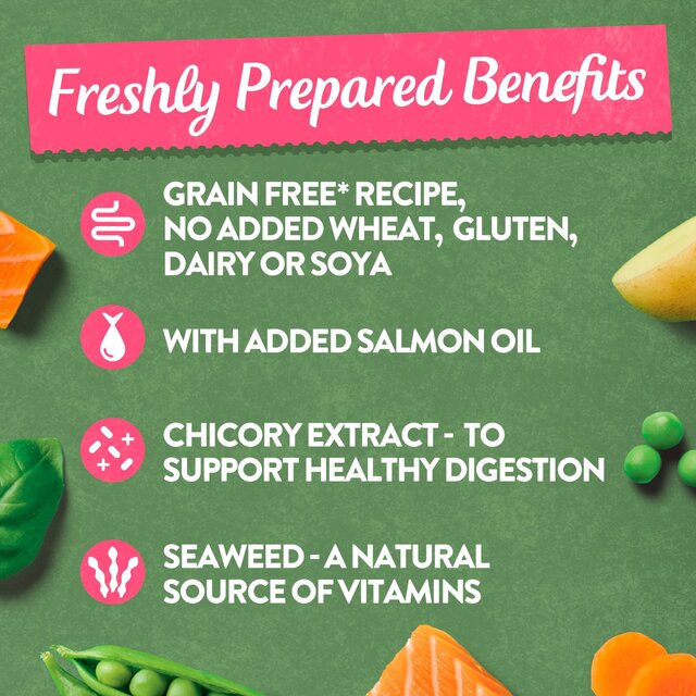 Harringtons Grain Free Salmon & Potato with Vegetables thumbnail 5