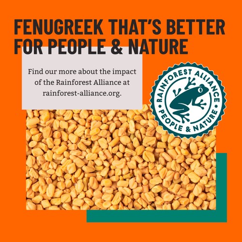 Bart Fenugreek Seeds thumbnail 3
