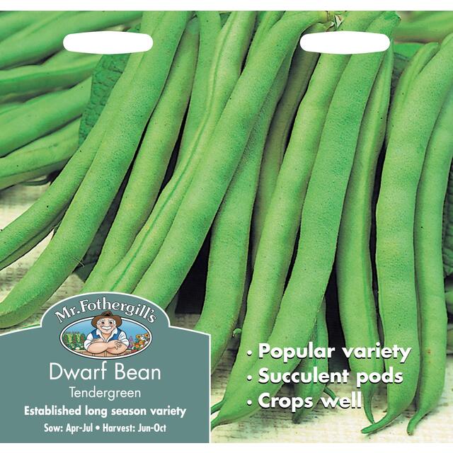 Mr Fothergills Dwarf Bean Tendergreen Seeds