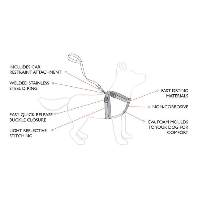 EzyDog Chest Plate Black Dog Harness thumbnail 2