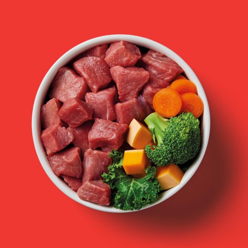 Nutriment Beef Formula Raw Dog Food thumbnail 3