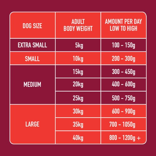 Nutriment Beef Formula Raw Dog Food thumbnail 4