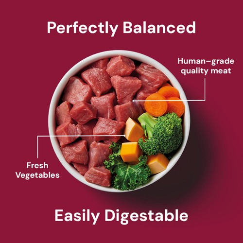 Nutriment Beef Formula Raw Dog Food thumbnail 6