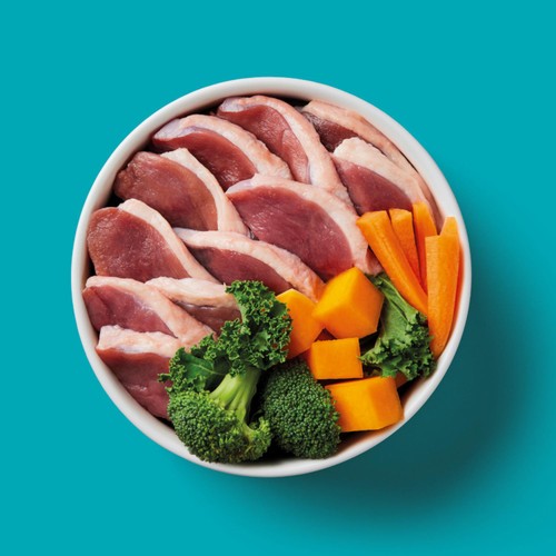 Nutriment Duck Formula Raw Dog Food thumbnail 3