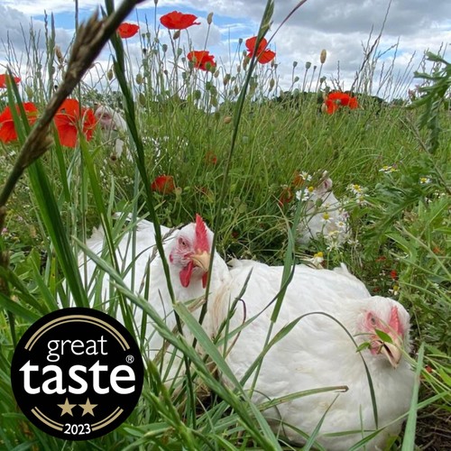 Packington Free Range Chicken Legs thumbnail 4