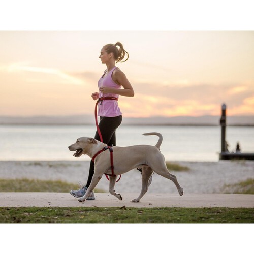 EzyDog Road Runner Red Dog Lead 2.1m thumbnail 3