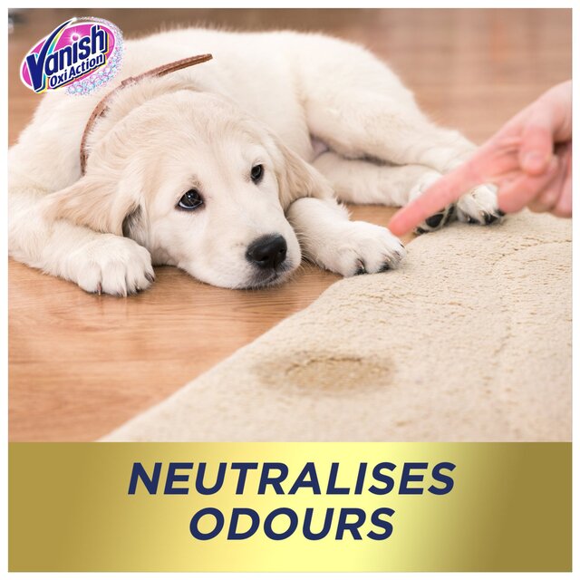 Vanish Gold Rug & Carpet Cleaner Powder thumbnail 3