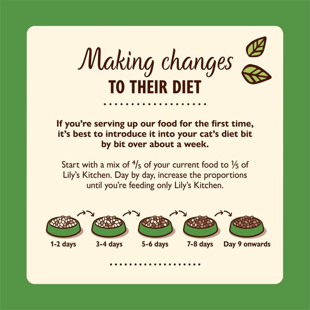 Lily's Kitchen Lamb Pate for Cats thumbnail 4