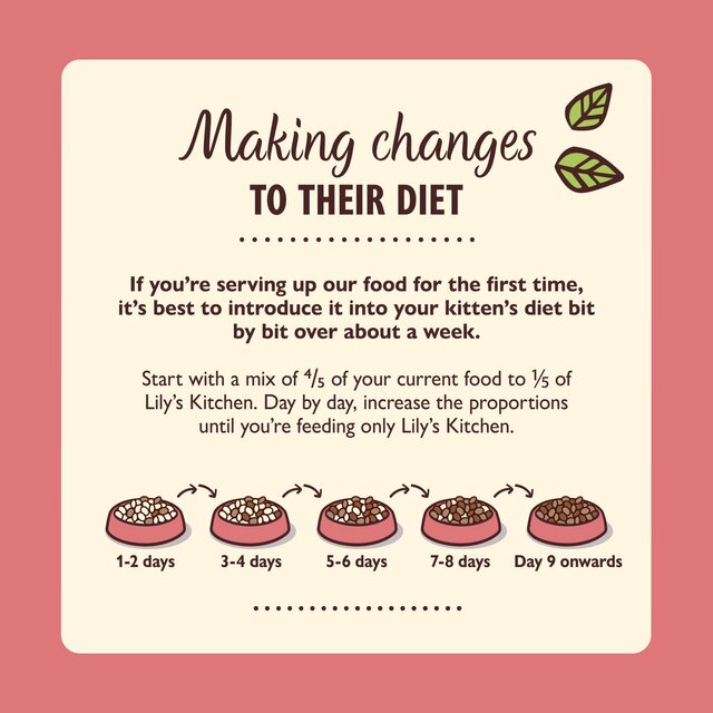 Lily's Kitchen Chicken Pate for Kittens thumbnail 4