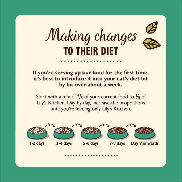 Lily's Kitchen Chicken & Game Pate for Cats thumbnail 3