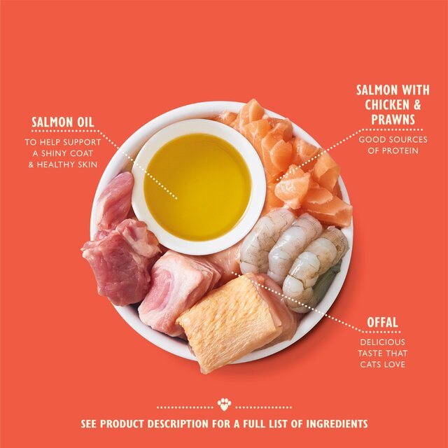 Lily's Kitchen Salmon & Chicken Pate for Cats thumbnail 2