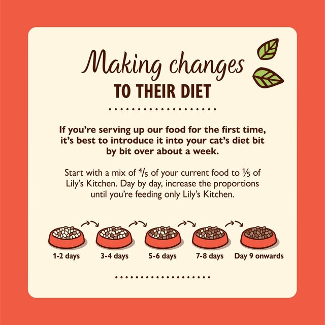 Lily's Kitchen Salmon & Chicken Pate for Cats thumbnail 5