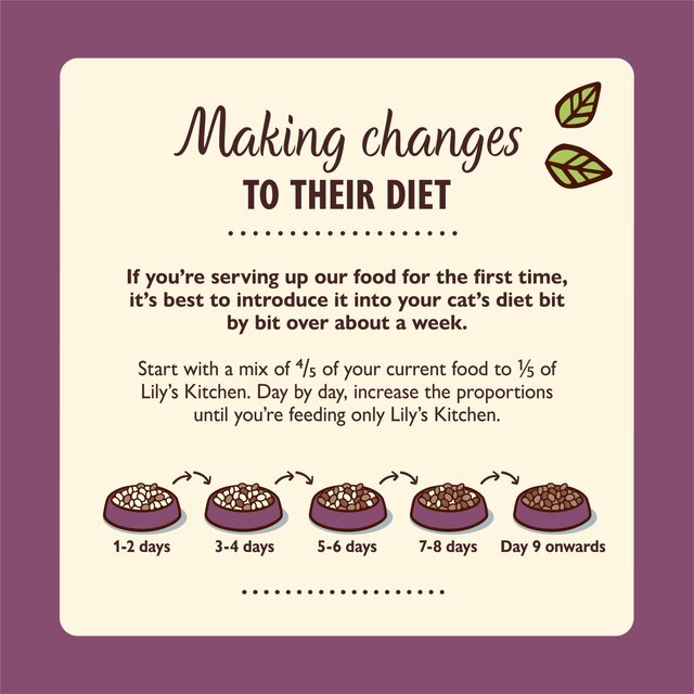 Lily's Kitchen Organic Turkey Dinner for Cats thumbnail 2