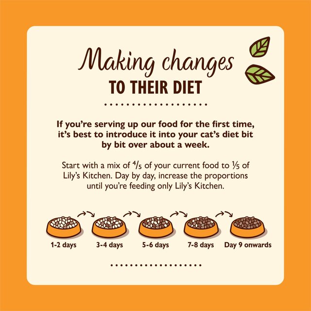 Lily's Kitchen Chicken Pate for Cats thumbnail 6