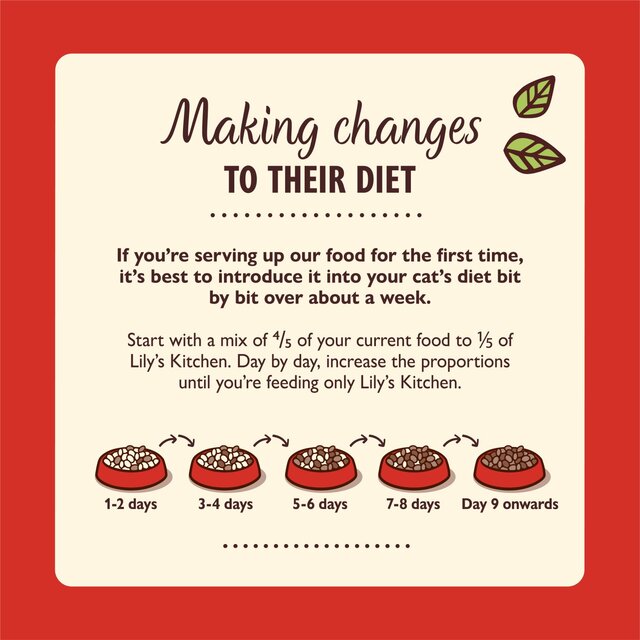 Lily's Kitchen Organic Beef Dinner for Cats thumbnail 6