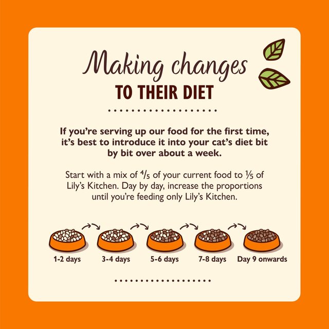 Lily's Kitchen Organic Chicken Dinner for Cats thumbnail 2