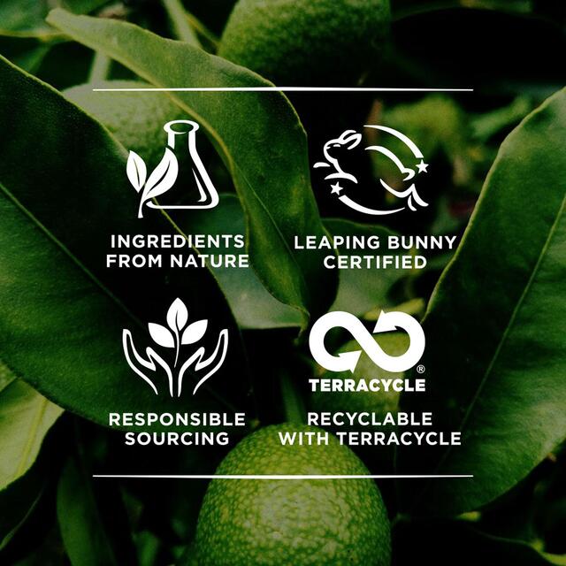 Burt's Bees Tinted Lip Balm, Rose thumbnail 5