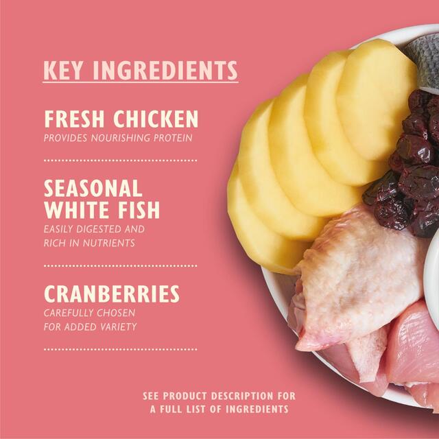 Lily's Kitchen Cat Chicken & White Fish Dry Kitten Food thumbnail 4