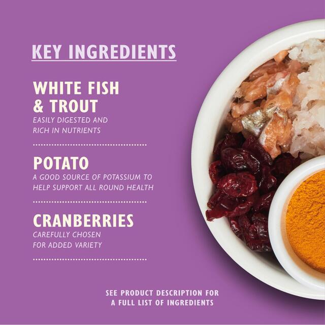 Lily's Kitchen Cat White Fish &Turkey Senior Recipe Dry Food thumbnail 5