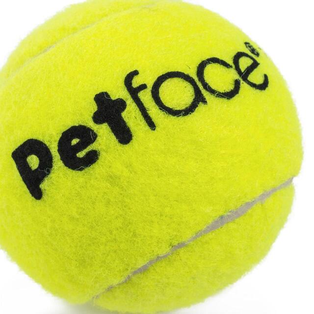 Petface Tennis Balls Dog Toy thumbnail 3