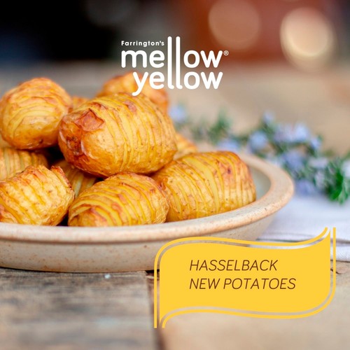 Farringtons Mellow Yellow Cold Pressed Rapeseed Oil thumbnail 8