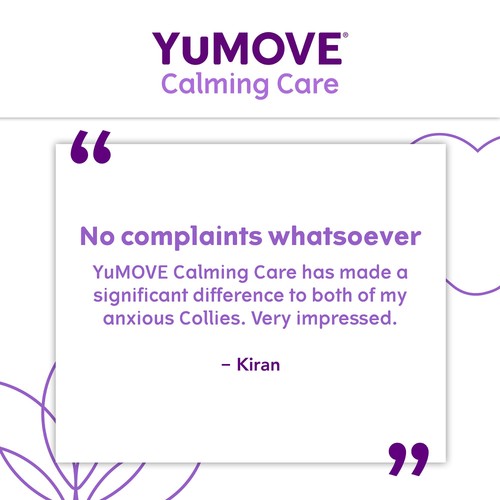 YuMOVE Dog Stress & Anxiety Supplement thumbnail 8