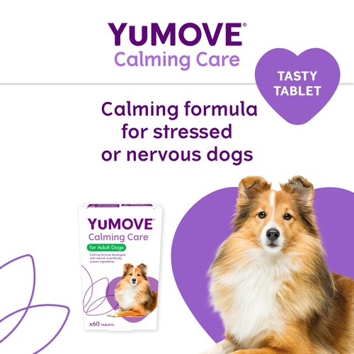 YuMOVE Dog Stress & Anxiety Supplement thumbnail 9