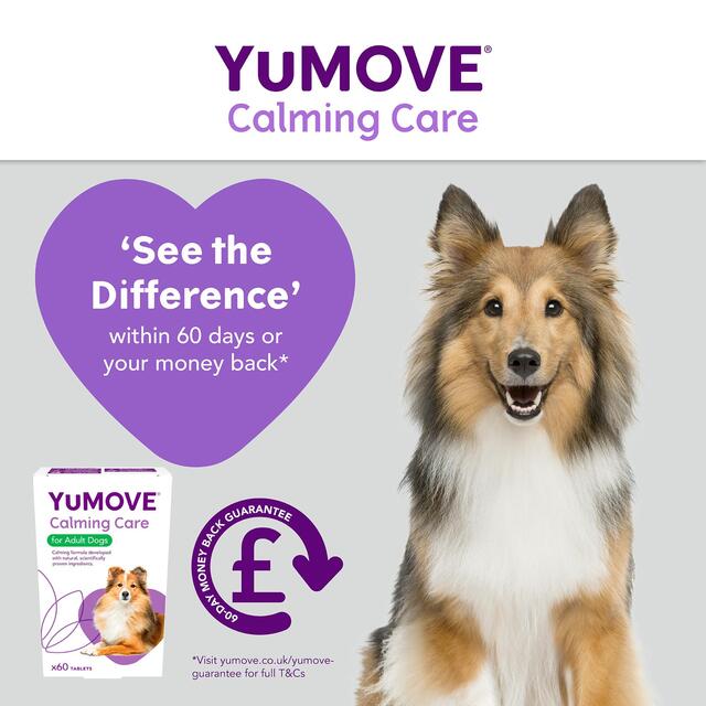 YuMOVE Dog Stress & Anxiety Supplement thumbnail 5