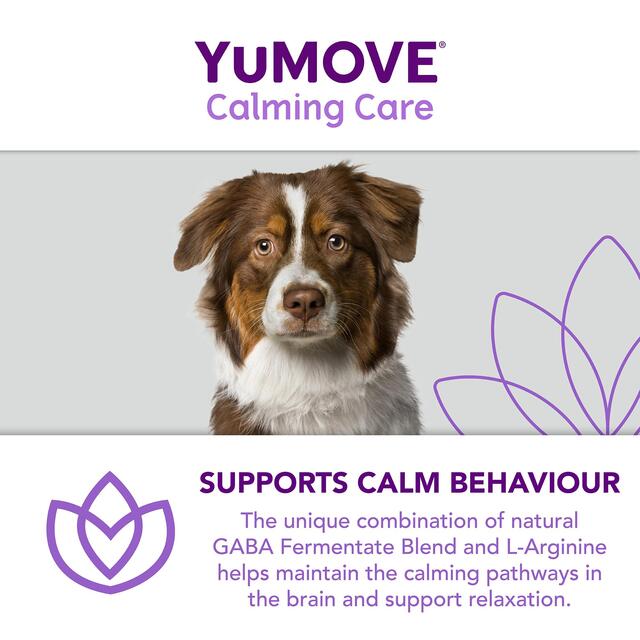 YuMOVE Dog Stress & Anxiety Supplement thumbnail 6