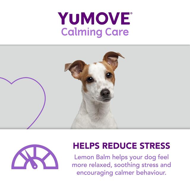 YuMOVE Dog Stress & Anxiety Supplement thumbnail 7