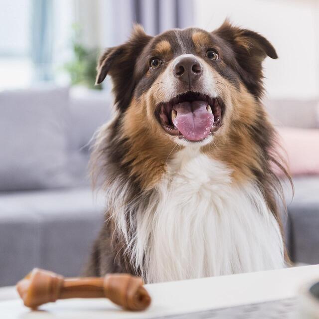 SmartBones Medium Chicken Rawhide Free Bones Dog Treats thumbnail 6