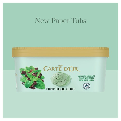 Carte D'Or Refreshing Mint Choc Chip Ice Cream Tub thumbnail 10