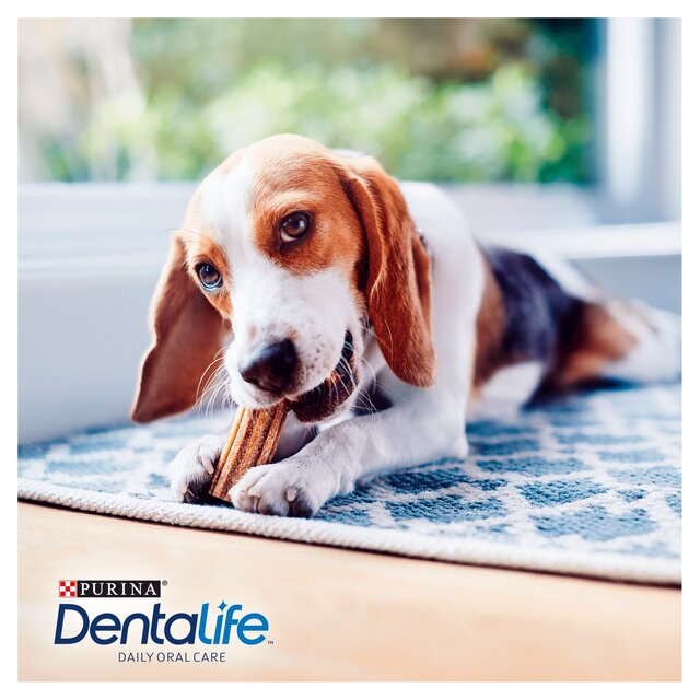 Dentalife Small Dental Chicken Dog Chews thumbnail 10
