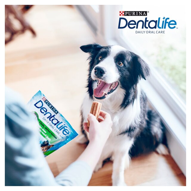 Dentalife Medium Dental Chicken Dog Chews thumbnail 10