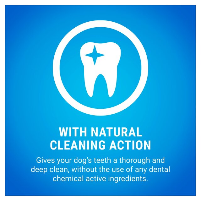 Dentalife Large Dental Chicken Dog Chews thumbnail 8