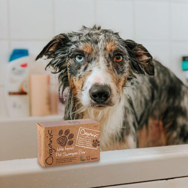 Little Soap Company Organic Little Beast Shampoo Bar thumbnail 5