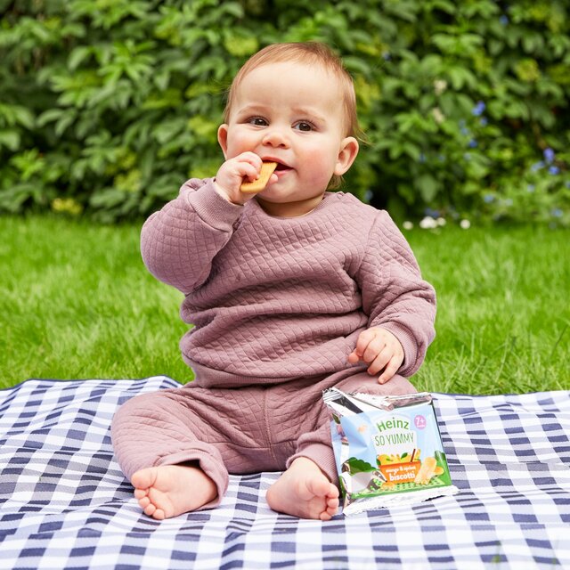 Heinz So Yummy Chocolate Biscotti Baby Food Snacks 7+ Months thumbnail 5