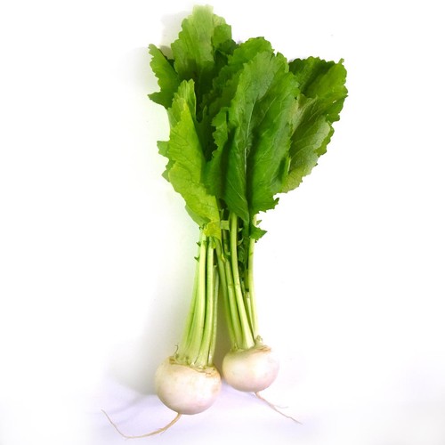 Natoora Italian Tokyo Turnips